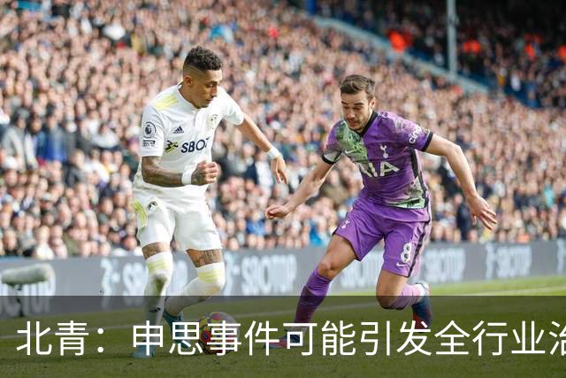 北青：申思事件可能引发全行业治理行动，禁业人员再受关注
