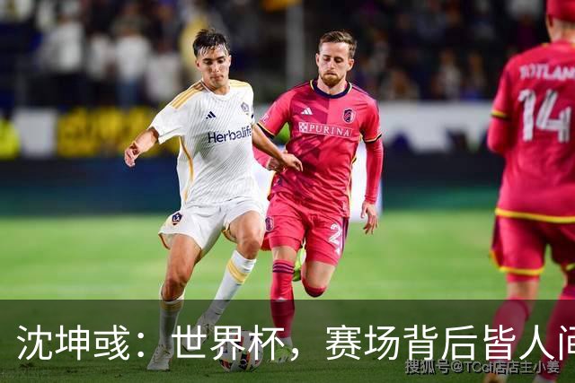沈坤彧：世界杯，赛场背后皆人间