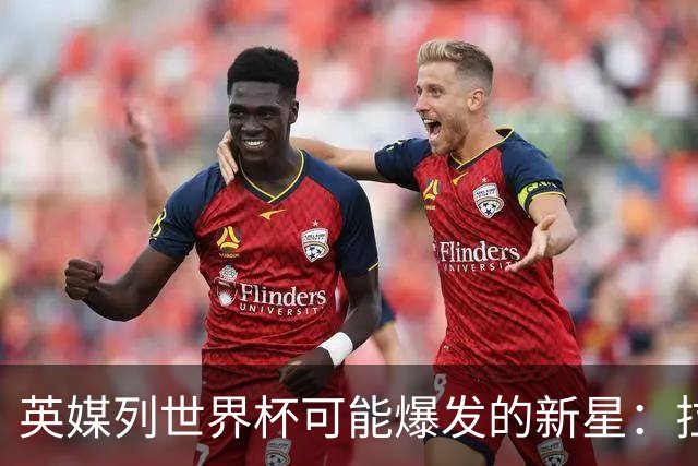 英媒列世界杯可能爆发的新星：拉扬、帕斯、迪奥曼德、武什科维奇